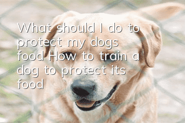 What should I do to protect my dog’s food? How to train a dog to protect its food?